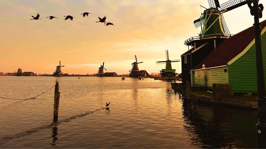Amsterdam: Private Tour Giethoorn, Zaanse Schans Local Guide - Two Dutch Classics in One Nine-Hour Day
