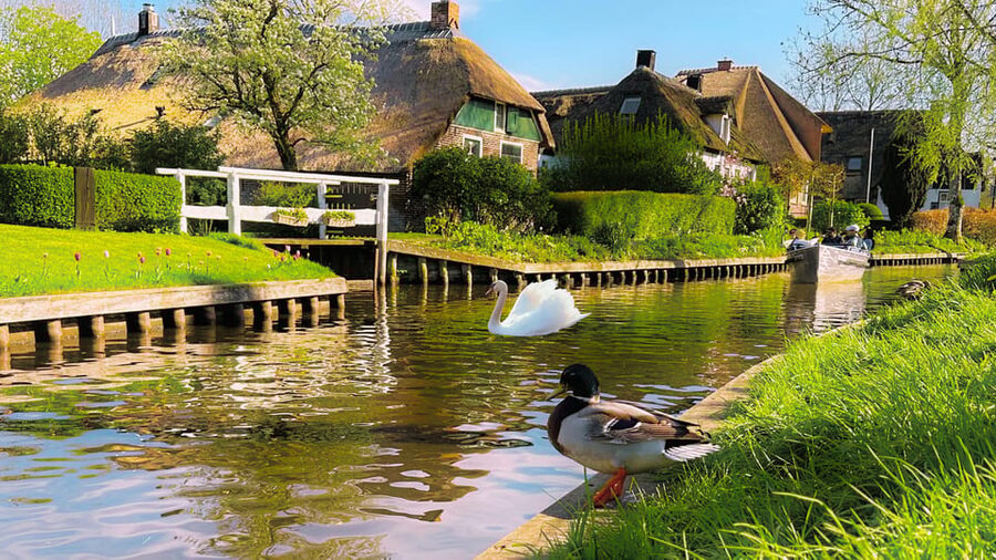 Amsterdam: Private Tour Giethoorn, Zaanse Schans Local Guide - Practical Details Before You Book