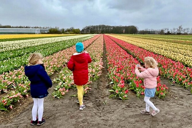 Amsterdam Private Tour to Keukenhof, Tulip Fields and Windmills - Tulip fields beyond the garden gates