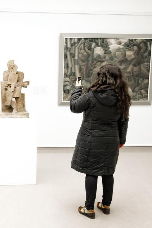 Amsterdam: Private tour to Kröller-Müller Museum - Should you book the Kröller-Müller private tour?