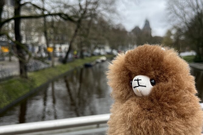 Amsterdam Private Walking & Tasting Tour - Herring and bitterballen: Try the classics