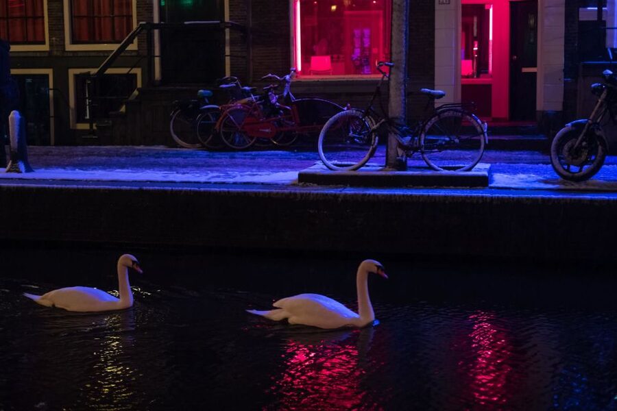 Amsterdam: Red Light District and Coffeeshop Culture Tour - Entering the Red Light District through the famous windows