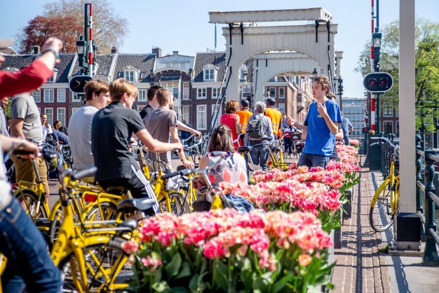 Amsterdam: Relaxed City Highlights Guided Bike Tour - Anne Frank House and the Jordaan