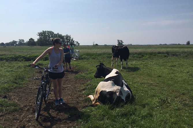 Amsterdam's Countryside Half-Day Bike Tour in Small Group - Flat roads, dikes, and Dutch water management
