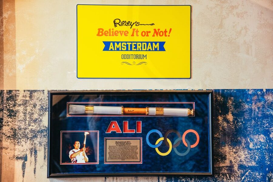Amsterdam's Weirdest Museum: Believe It or Not! - Is $26 good value?