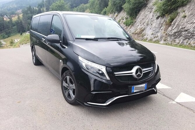 Amsterdam Schiphol Airport (AMS) to Amsterdam - Arrival Private Transfer - Who will get the most from this transfer