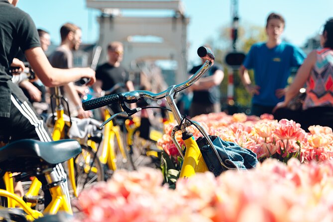 Amsterdam Small Group Bike Tour - Key points to know before you ride