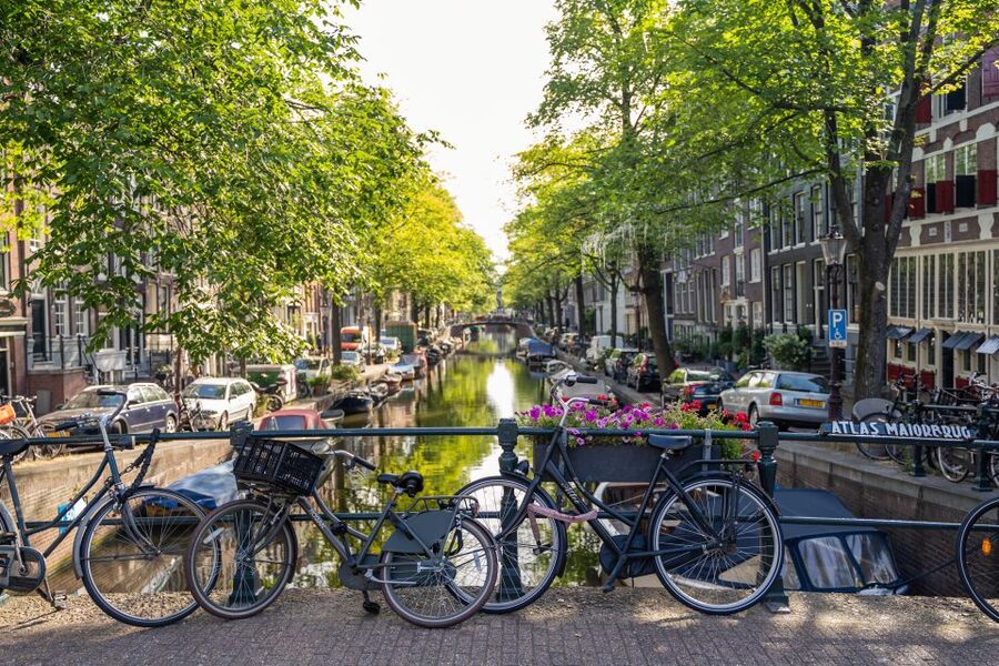 Amsterdam Small-Group Walking Tour - Why this makes a smart first activity in Amsterdam