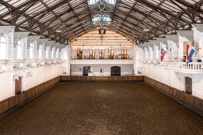 Amsterdam: The 'Hollandsche Manege' Stables Entry Ticket - Seeing the horses in their daily setting