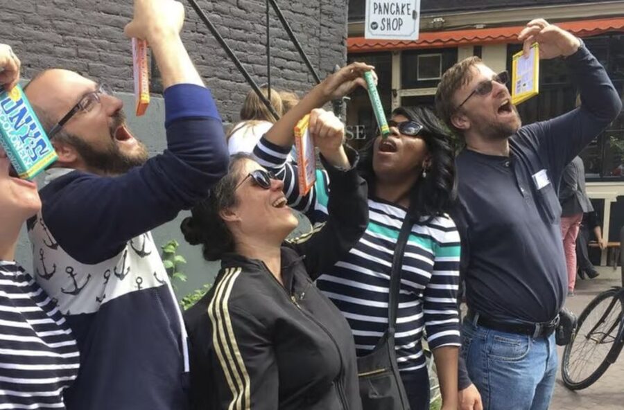 Amsterdam: The Story of History & Culture Walking Tour - What the $37 price gives you