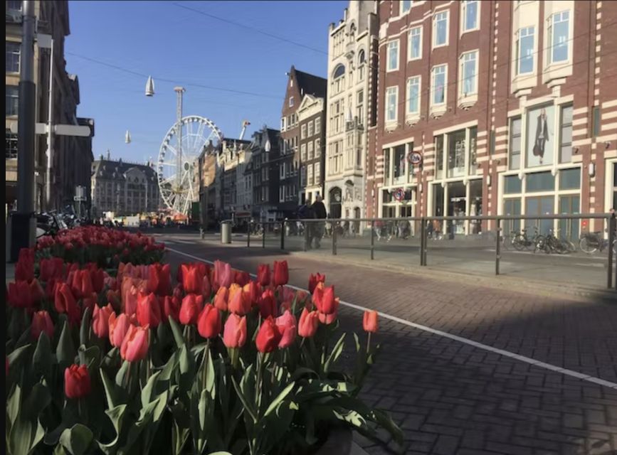 Amsterdam: The Story of History & Culture Walking Tour - Who will get the most from this walk