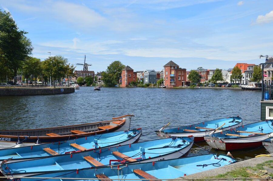 Amsterdam to Haarlem: Private Day-Trip Experience - What $182 per person really buys you
