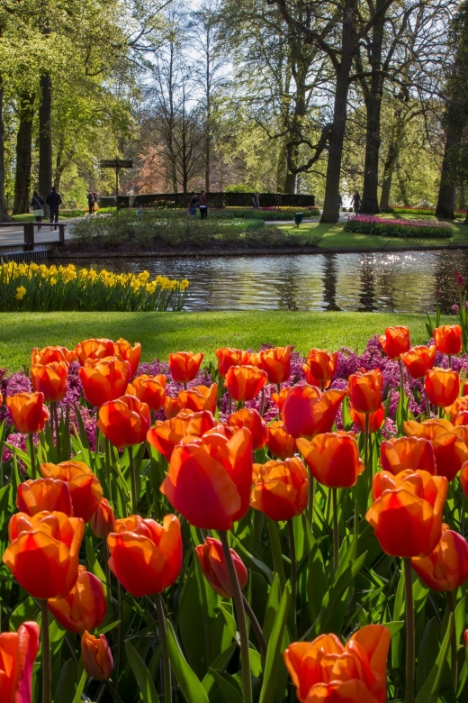 Amsterdam: Tour to Keukenhof Gardens with Windmill Cruise - Why this pairing works so well