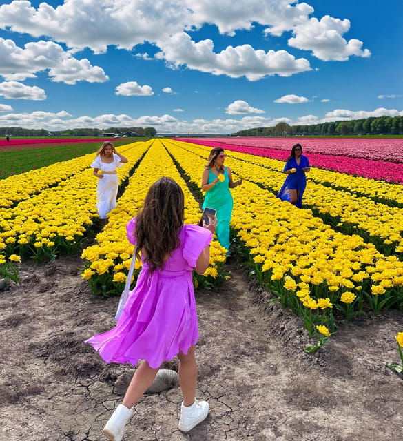 Amsterdam: Tulip Fields Day Tour with Lunch & Windmill - Key points at a glance