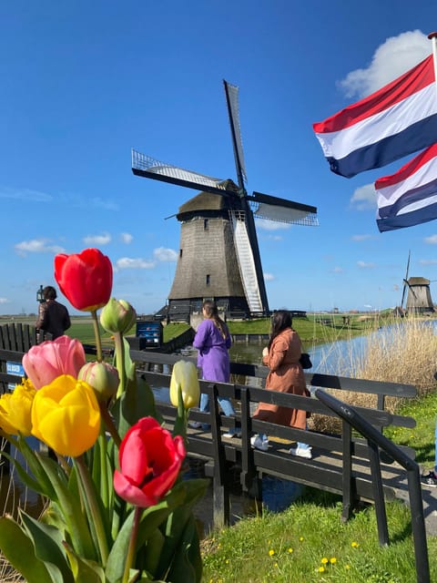 Amsterdam: Tulip Fields Day Tour with Lunch & Windmill - Why these tulip fields feel different from Keukenhof