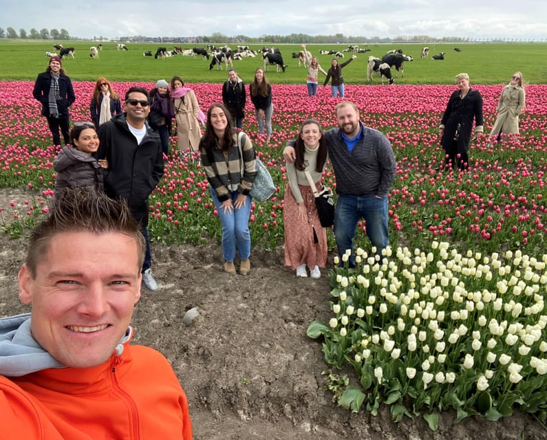 Amsterdam: Tulip Fields Day Tour with Lunch & Windmill - Who will get the most from this day