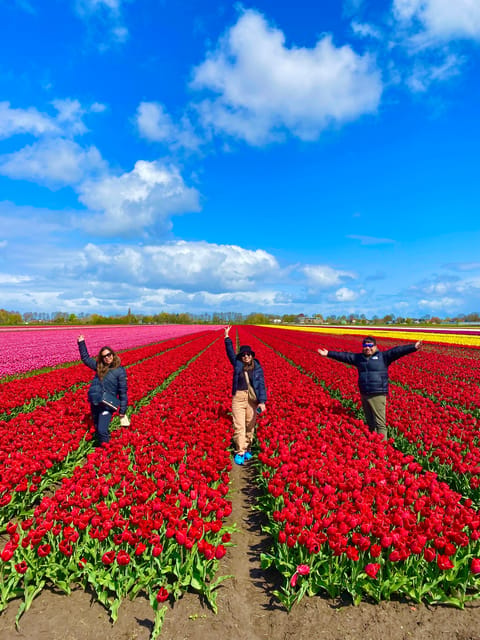 Amsterdam: Tulip Fields Day Tour with Lunch & Windmill - Practical details before you book