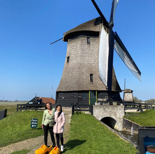 Amsterdam: Tulip Fields Day Tour with Lunch & Windmill - Should you book the Tulip Fields Day Tour?