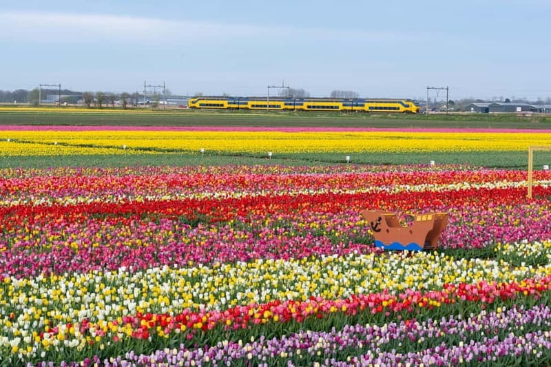 Amsterdam : Tulip Wonderland Tour - Should you book the Tulip Wonderland Tour?