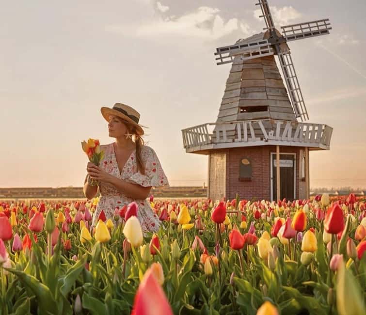 Amsterdam : Tulip Wonderland Tour - Two hours inside the Tulip Barn garden
