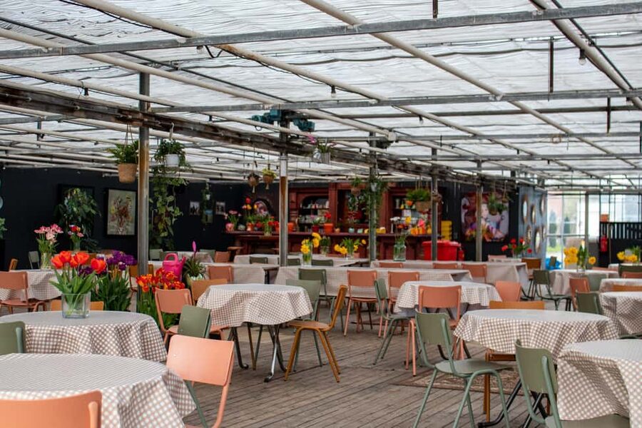 Amsterdam : Tulip Wonderland Tour - Lunch, fresh flowers, and the extra costs