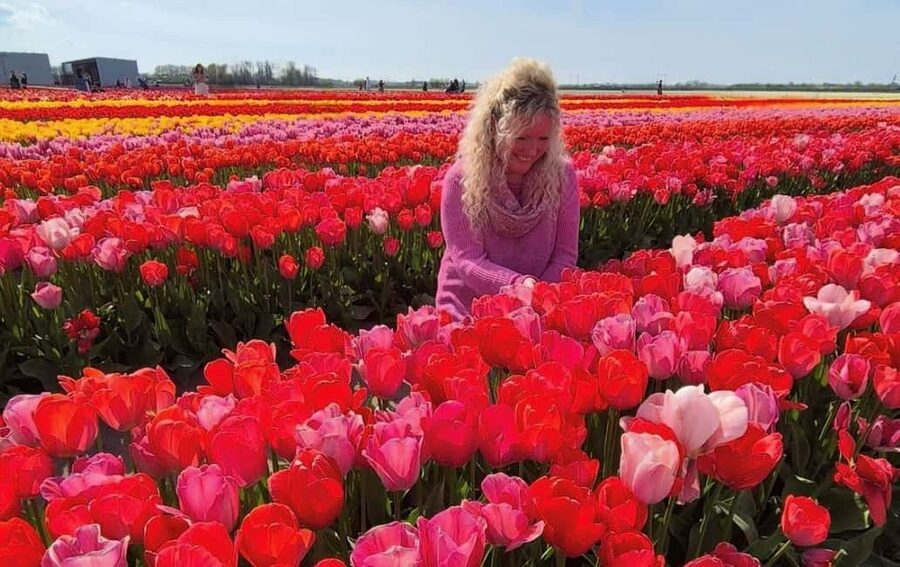 Amsterdam : Tulip Wonderland Tour - Who should book this three-hour outing?