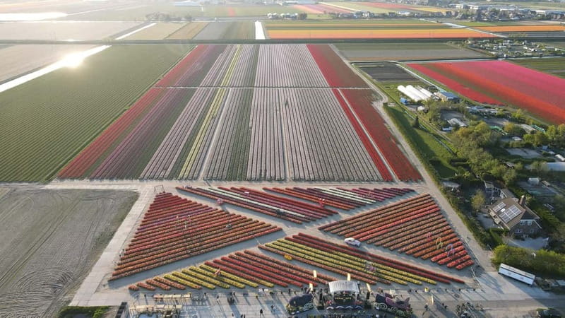 Amsterdam : Tulip Wonderland Tour - Booking advice for the best visit