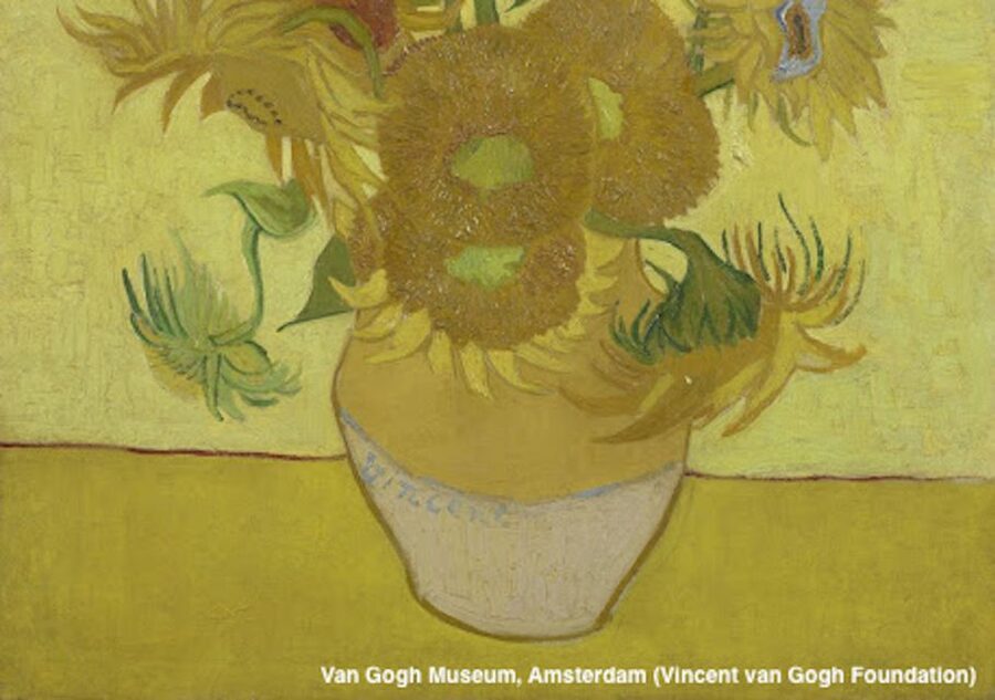 Amsterdam: Van Gogh Museum Guided Tour with Entry - Key points to know before booking