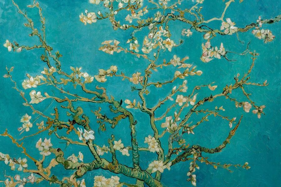 Amsterdam: Van Gogh Museum Ticket & Canal Cruise - Practical comfort and access notes