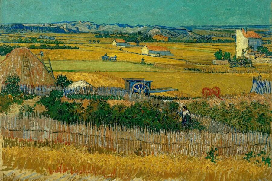 Amsterdam: Van Gogh Museum Ticket & Canal Cruise - Seeing Van Gogh beyond Sunflowers