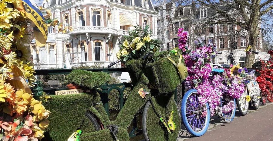 Amsterdam Walking Tour and Canal Cruise - What the $194 price means for value