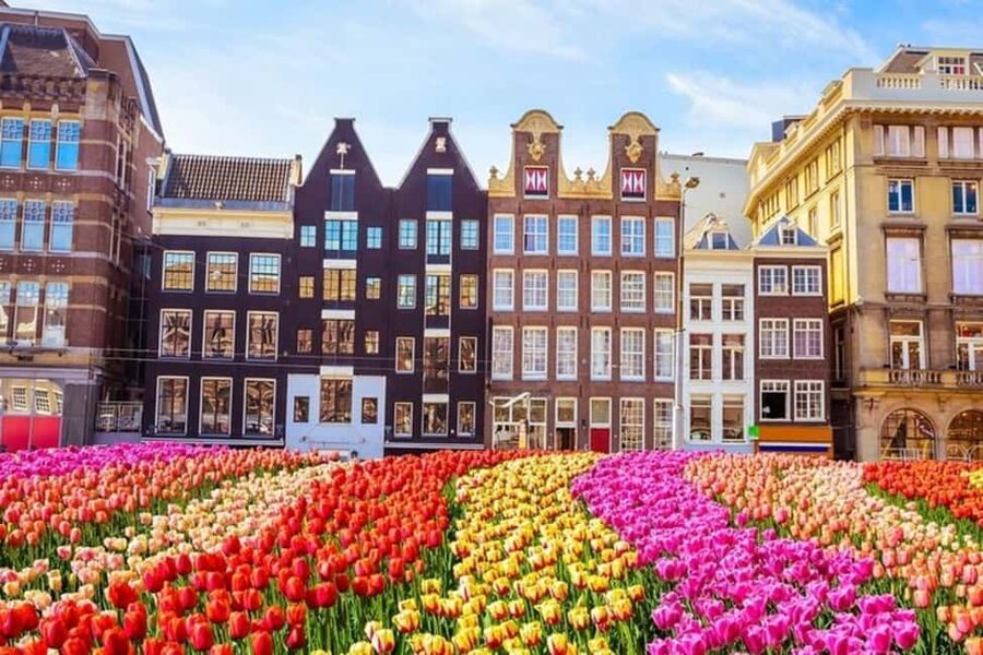 Amsterdam: Walking Tour of Historic Center - Chinatown and the old center’s many layers