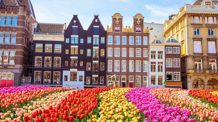 Amsterdam Walking Tour with a Local - Why The Local Advice Matters