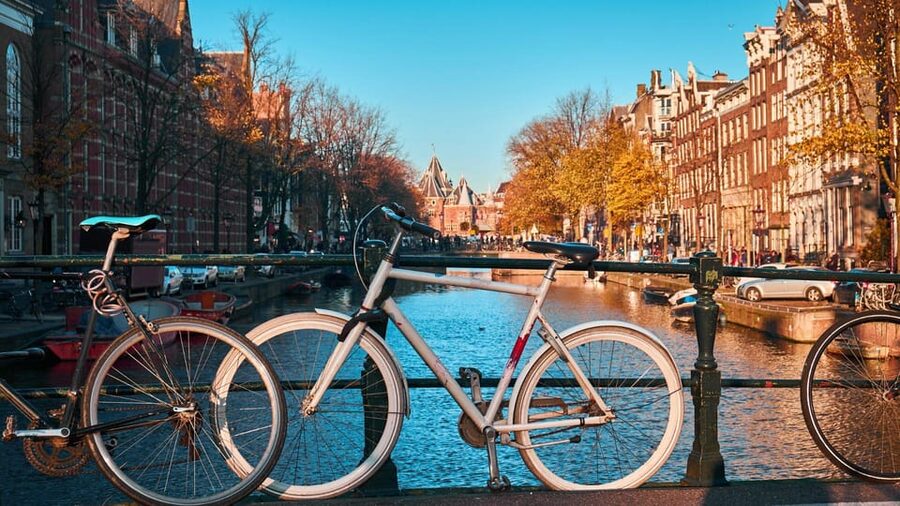 Amsterdam Walking Tour with a Local - Who Should Book This Amsterdam Walk?