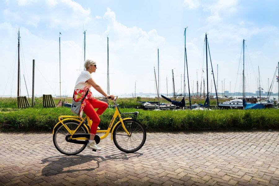 Amsterdam: Waterland District Countryside Villages Bike Tour - Leaving Amsterdam by ferry and bicycle