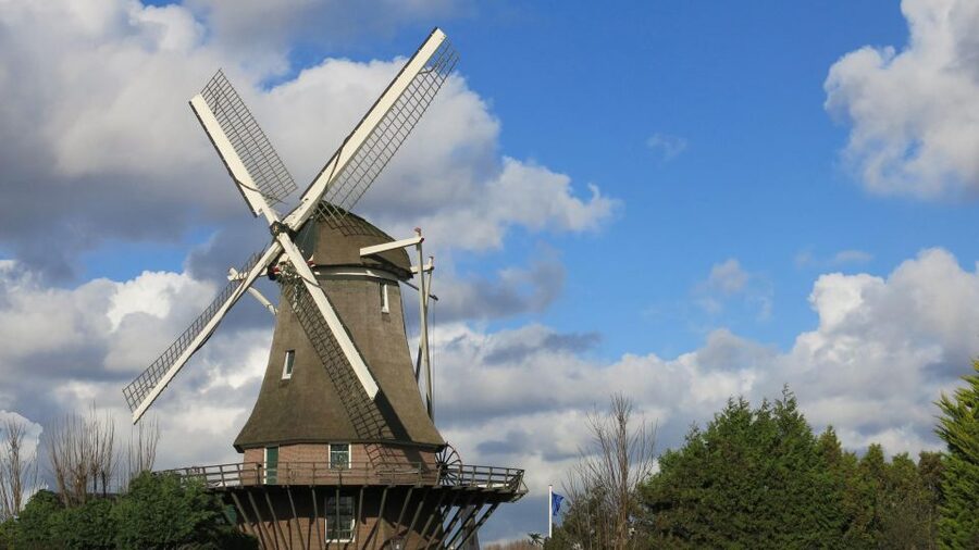 Amsterdam: Windmill Guided Tour - What the guide adds