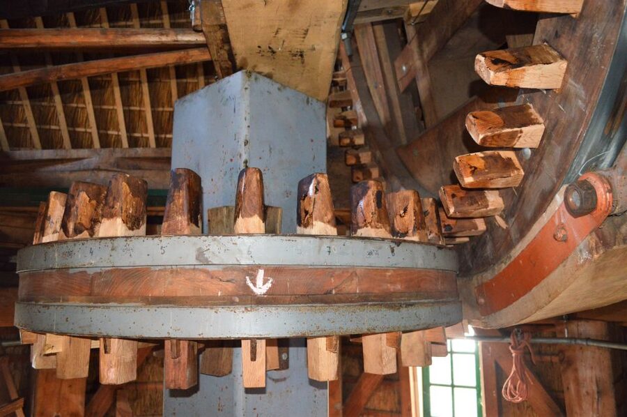 Amsterdam: Windmill Guided Tour - Who should book this tour?