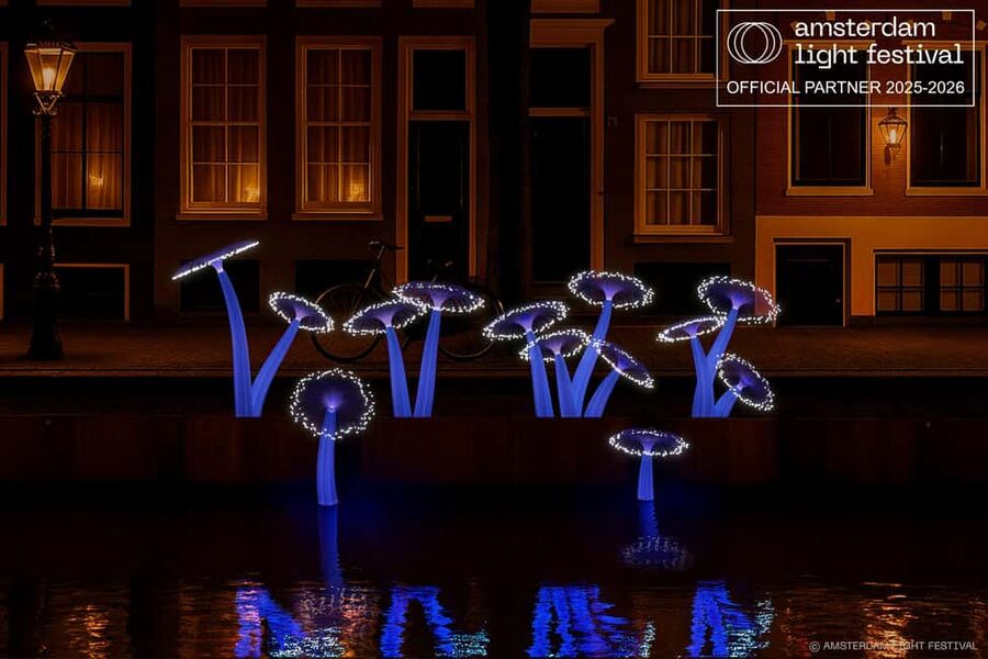 Amsterdam Winter Walking Tour - Starting at Dam Square and Amsterdam’s beginnings