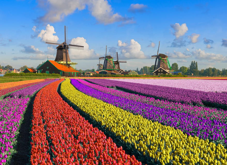 Amsterdam: Zaanse Schans, The Hague & Rotterdam Tour - Zaanse Schans and the working windmills