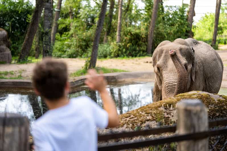 Arnhem: Burgers' Zoo Entry Ticket - Key things to know before you go