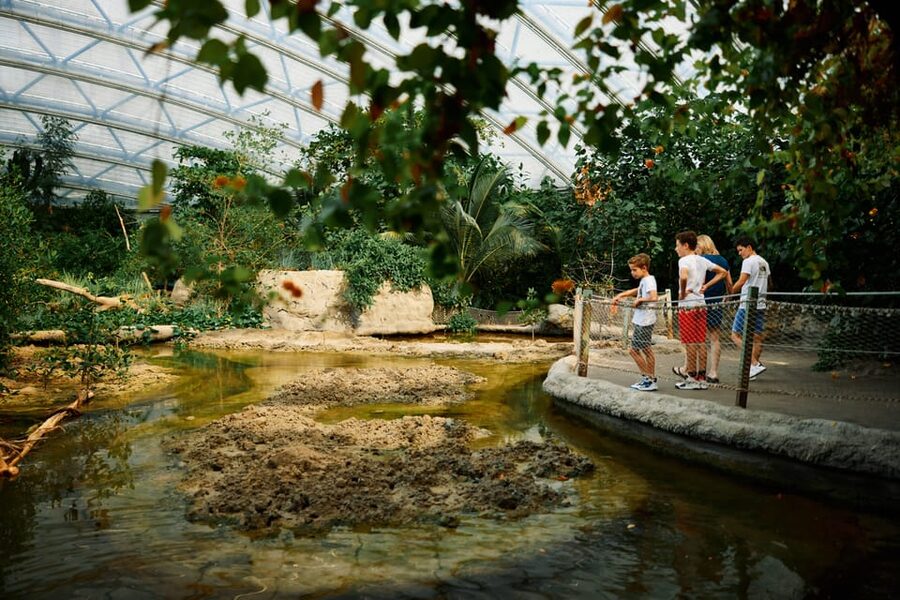 Arnhem: Burgers' Zoo Entry Ticket - Planning your eight-hour visit