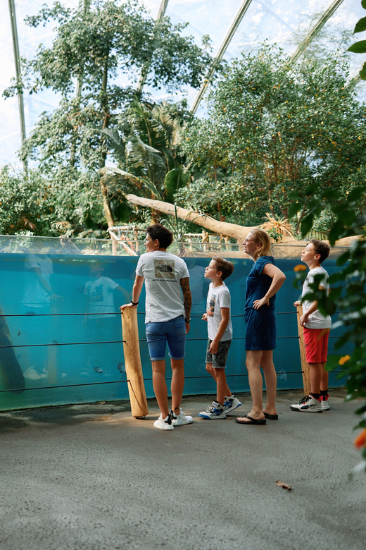 Arnhem: Burgers' Zoo Entry Ticket - A full day across six very different habitats
