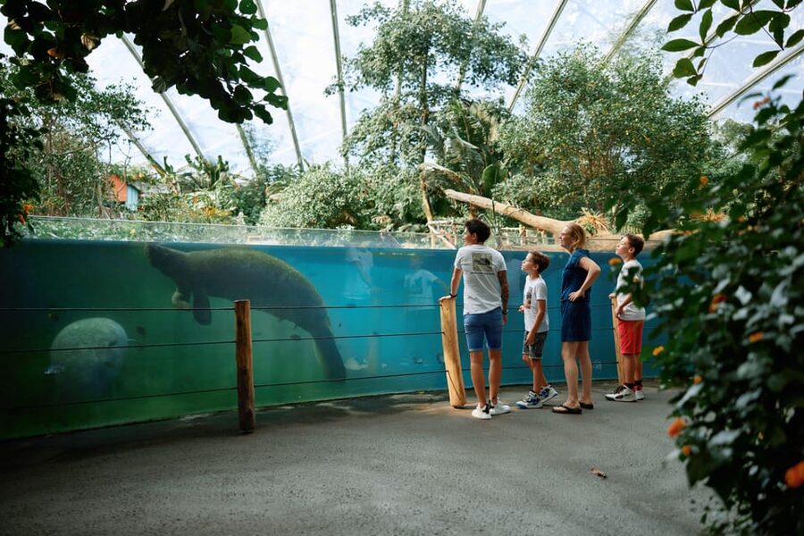 Arnhem: Burgers' Zoo Entry Ticket - The Rimba: Malay rainforest atmosphere