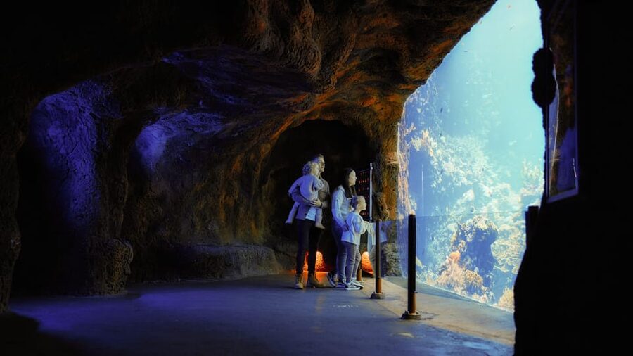 Arnhem: Burgers' Zoo Entry Ticket - Why the eco-display approach matters