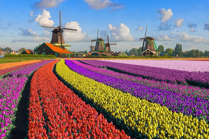 Best of Netherlands: Zaanse Schans Mills, The Hague & Rotterdam - Rotterdam: medieval survival and daring design