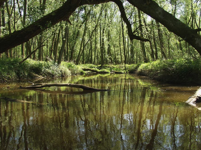 Biesbosch: Boat Cruise through National Park - Inside De Zilvermeeuw