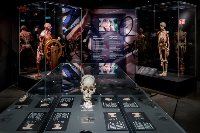 Body Worlds Amsterdam Admission Ticket - Entering Body Worlds Amsterdam