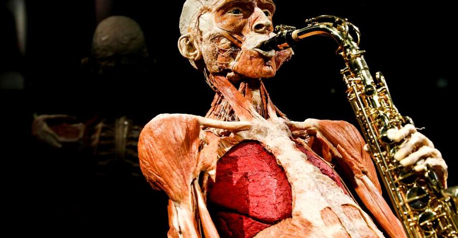 Body Worlds Amsterdam: The Happiness Project Ticket - Key points to know before you go