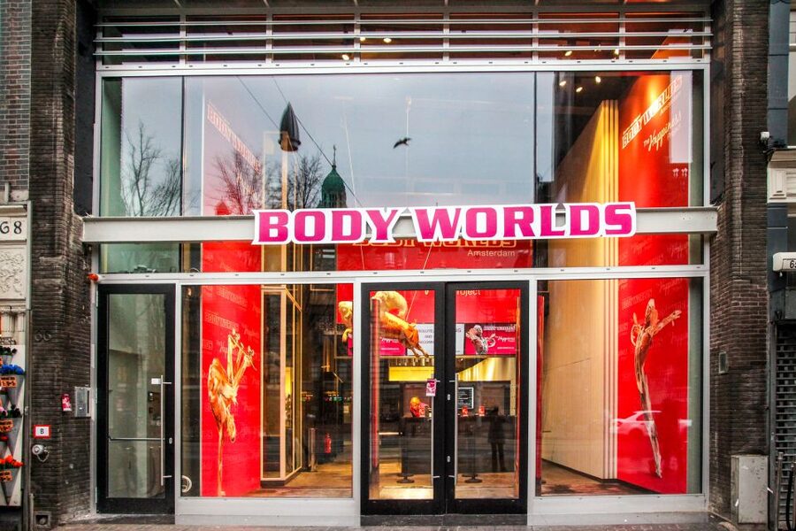 Body Worlds Amsterdam: The Happiness Project Ticket - Real bodies, clear anatomy, and a few difficult sights