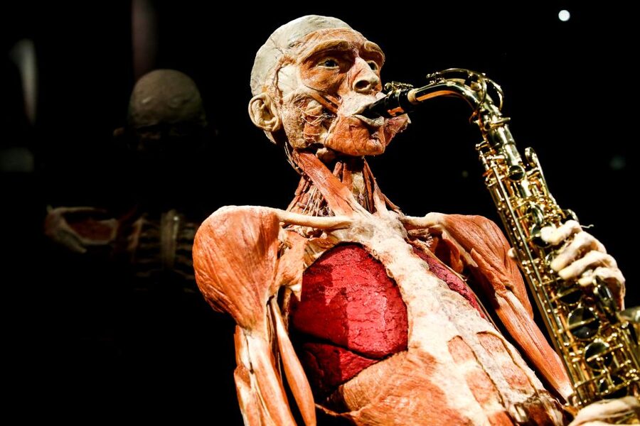 Body Worlds Amsterdam: The Happiness Project Ticket - Following the six-floor route
